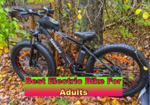 Read more about the article 6 Best Electric Bike For Adults 2024
